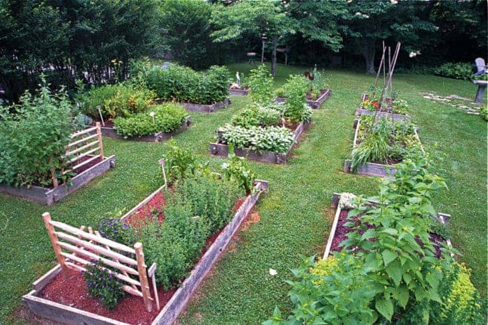 Herb Garden
