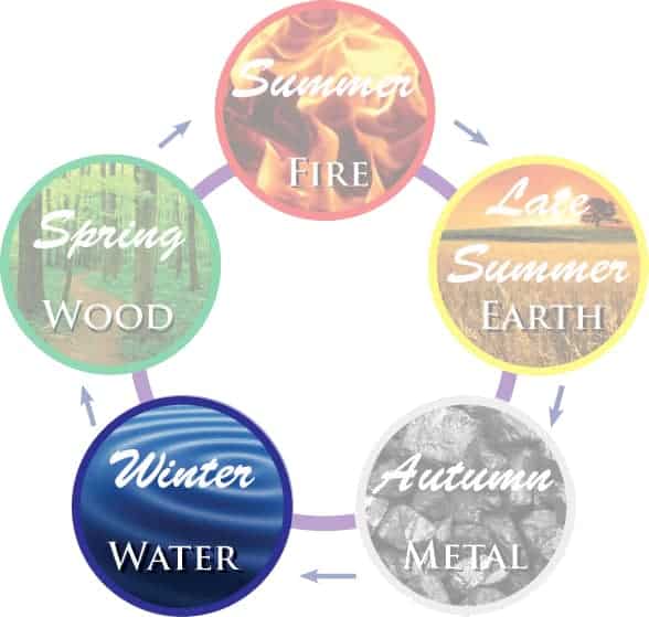 5 Elements in TCM - Winter