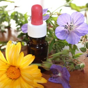 Herbal Creams Lotions & Compounds